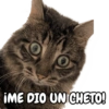 IME DIO UN CHETO!