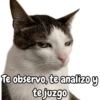 Te observo, te analizo y te juzgo