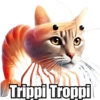 Trippi Troppi