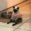 Te servirán para responder😎✨12 6