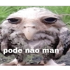 pode não man