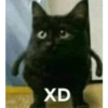 Memes shitpost 5
