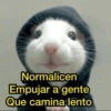 🙈 ANIMALITOS CON TEXTOS 😎 6
