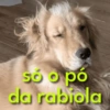Surtos leves & memes ✨ 28