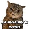 Qué interesante tu mentira