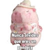 Capibara capibara capibara 13