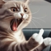 Memes gatos e cachorros 7