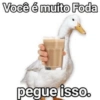 Novos memes  7