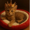 Cat cute 10