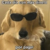 🙈 ANIMALITOS CON TEXTOS 😎 16