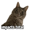 impacto total
