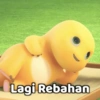 DINO BUCIN 8