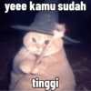 Kucing penyihir 9