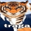 O melhor do shitpost 30
