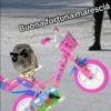 Cricetino Sad Hamster pt.3 10