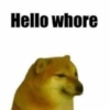 Doggo 15