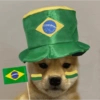 Independência do Brasil 13