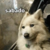 Rreacciones para SÁBADO 6 8