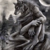 Lone Wolf 🐺  6