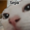 Memes 73 12