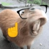 CAPYBARA ♥️🌻 11