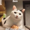 Ayşe hanımın stickerları 30