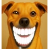 😁Dra.Pumpin/Memes TikTok🔥 11