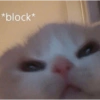 Catscatacats9 12