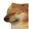 Doggo 11