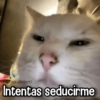 Memes con Frases #2🧠 9
