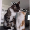 you me