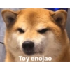 Nojao 😤 10