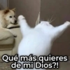 Qué más quieres de mi Dios?!