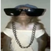 Shitpost del Bueno 🗿 16