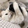 you Me
