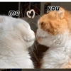 you me