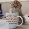MÓ FRIO 🧣🧤🧦 11