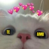 Cantadas e safadezas 12