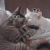 you me