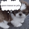 Aleatórios 3 10