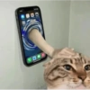 Реакции TikTok 2 😎 28