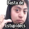 Basta de Estupidecs