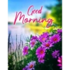 Good morning 41