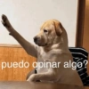 🔝⛽️🥸 • MEMES • 🥸⛽️🔝 11