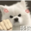Hug hug 15