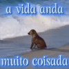 Surtos leves & memes ✨ 27