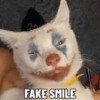 FAKE SMILE