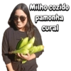 Alô Brasil 26