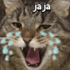 ja ja