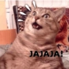 JAJAJA!